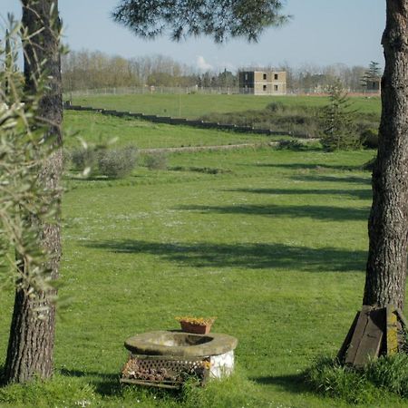 Il Casale Di Gardenia Bed and Breakfast Cesano Exteriör bild