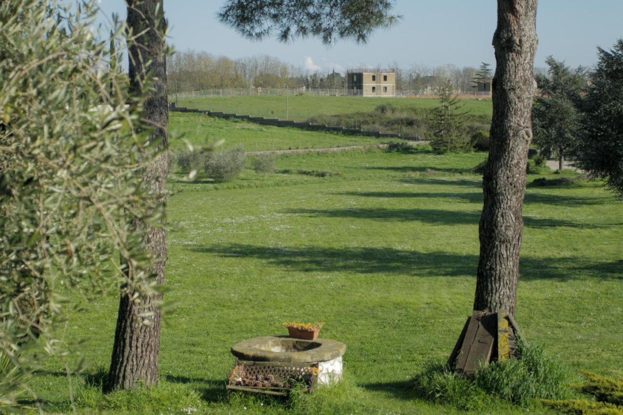 Il Casale Di Gardenia Bed and Breakfast Cesano Exteriör bild